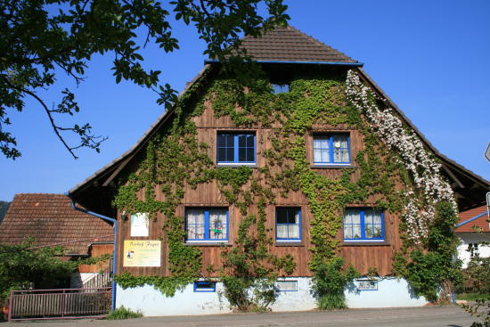 Unser Bio-Bauernhof in in Bollenbach